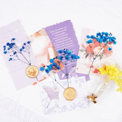 50Pcs Blue Babys Breath Dried Pressed Flowers for Crafts,Xinxinran Dry Flowers Kit for Wedding Invitation Accessories,Bookmark,Jewelry Molds,Candle Making Supplies,Soap,Frame,Cakes