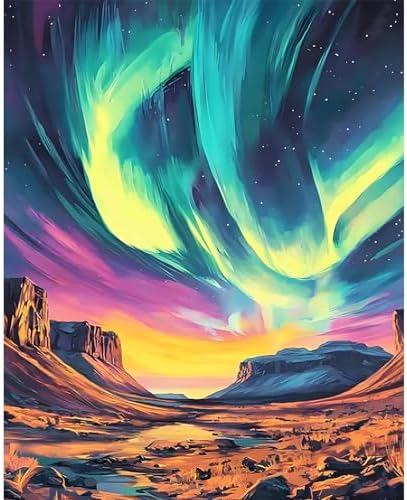 Paint by Numbers Kit for Adults, Aurora DIY Painting Kit, 16x20 Inch