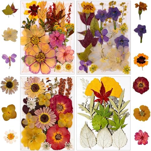 163 pcs Dried Flowers for Resin, Natural Flowers and Leaves Kit with Butterfly Stickers， Vacuum Sealed DIY Pressed Flowers for Jewelry Molds, Candle Soap Making, Scrapbook, Nail Art (Colorful-F)