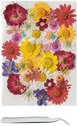 Cayway 42 Pcs Real Pressed Flowers Dry with Tweezers Set, Dried Pressed Flowers Colorful Real Pressed Flowers for Resin Scrapbooking DIY Art Crafts, Epoxy Resin Jewelry, Soap Making