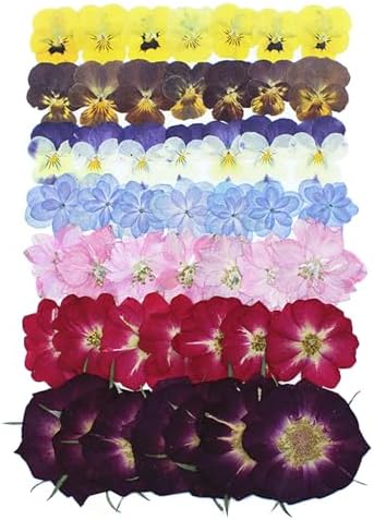 49 Pcs Dried Pressed Flowers for Crafts Art Resin DIY Natural Dry Pansy Rose Hydrangea Floral Epoxy Jewelry Real Flower Plants Decor Cakes Phone Cases Bookmarks Candles Handmade Soap