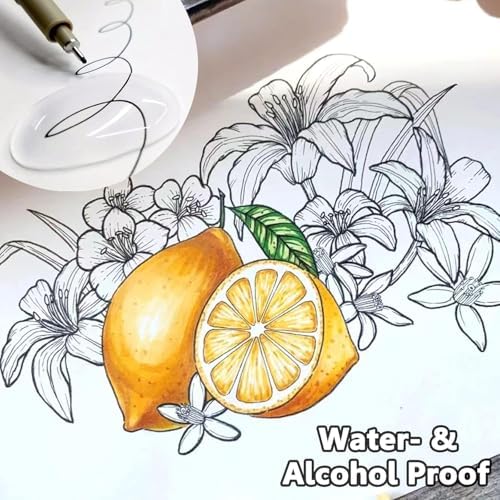 Drawing Pens Micro Fineliner Art Pens: 12 Black Fine Line Markers Art Supplies Adults Artist Sketch Waterproof Archival Ink Watercolor Inking Fine Liner Manga Sketching Zentangle Stuff Micron Pen Set