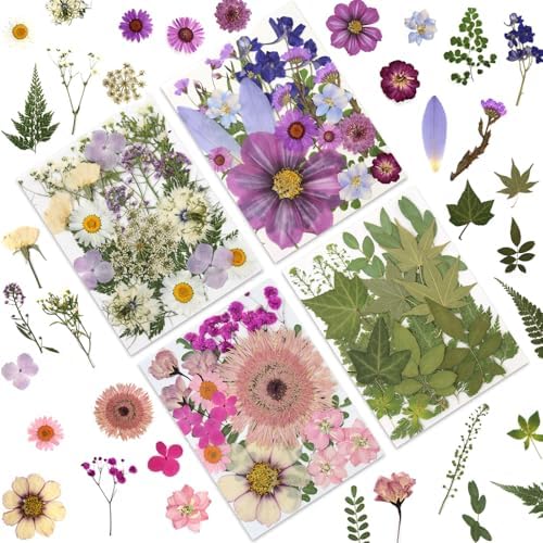 LUXEEASE 80P Vibrant Colors Large Pressed Flowers & Leaves | Cosmos daisy maple leaves, varied textures, pink purple white green, for resin scrapbook frame decor, tweezers included