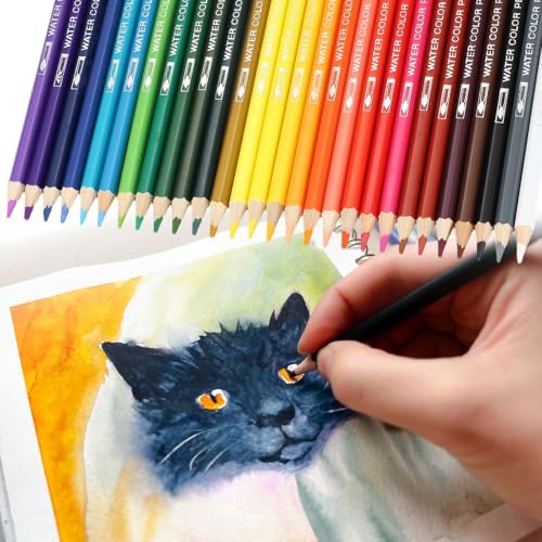PATIKIL Watercolor Pencils, Hole Blue Color Pencil Set Sketch Coloring Drawing Colored Pencils Bulk Artist Drawing Supplies for Adult Coloring Book Blending, 3 Pcs