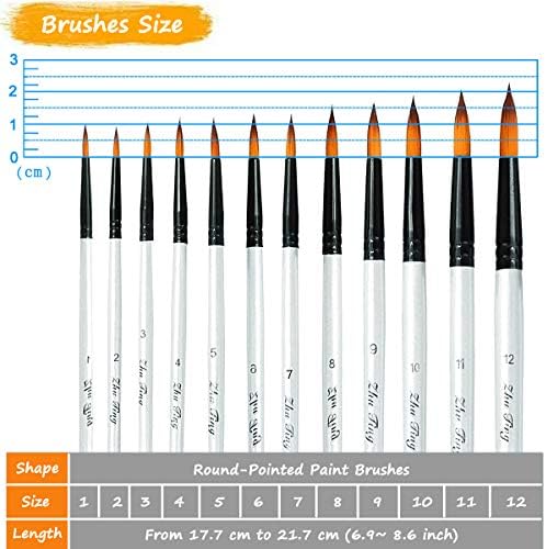 Acrylic Paint Brushes Set, 12pcs Professional Round-Pointed Tip Artist Paintbrushes for Acrylic Watercolor Oil Painting, Face Body Nail Art, Crafts, Canvas, Rock, Shoes, Miniature Model & Fine Detail