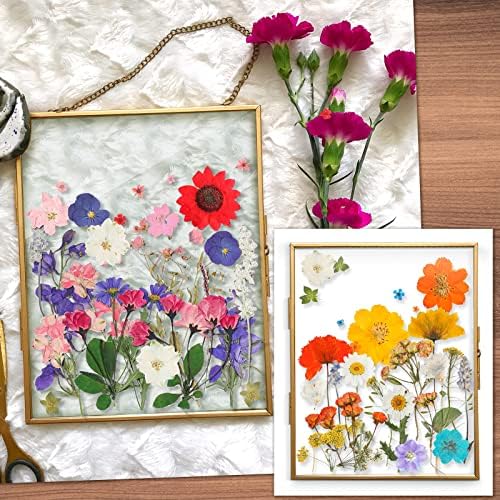 Nuanchu Dried Pressed Flowers for Resin,Elegant Style,Bright Colors