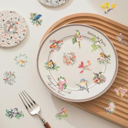 50 Pack Watercolor Bird Transparent Stickers for Teens - Floral Nature Birds Decals Waterproof PET Scrapbook Decals for Journal, Guitar, Notebook, Phone Case - Ins Aesthetic Nature Art Sticker Set
