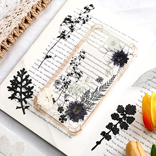 Nuanchu Black White Dried Pressed Flowers for Craft Resin, Halloween DIY
