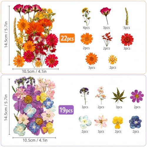 173 pcs Dried Flowers for Resin, Natural Flowers and Leaves Kit with Butterfly Stickers， Vacuum Sealed DIY Pressed Flowers for Jewelry Molds, Candle Soap Making, Scrapbook, Nail Art (Colorful-G)