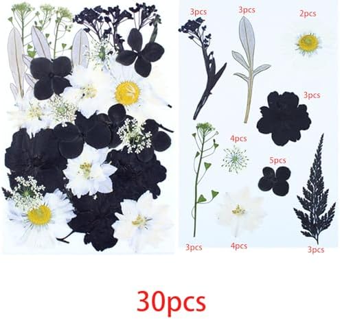 Cayway 2 Pack Pressed Flowers Natural Dried Flowers Black Resin Flowers Real Pressed Flowers with Butterfly Sticker for Resin Scrapbook DIY Art Crafts, Epoxy Resin Jewelry Supplies, Style D
