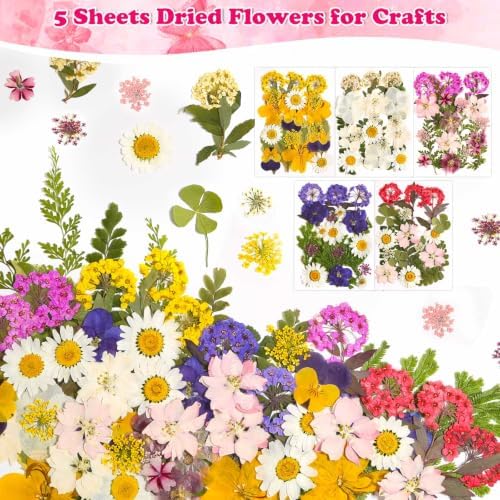 Evatage 100 Pcs Real Dried Pressed Flowers for Resin Crafts
