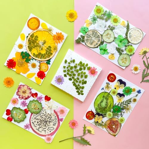 MIKIYA 75Pcs Pressed Dried Flowers Fruits for Resin Molds, Real Natural Bulk Assorted Dry Floral Leave for DIY Art Crafts, Epoxy Jewelry, Candle, Soap Making, Nails Decors Gifts