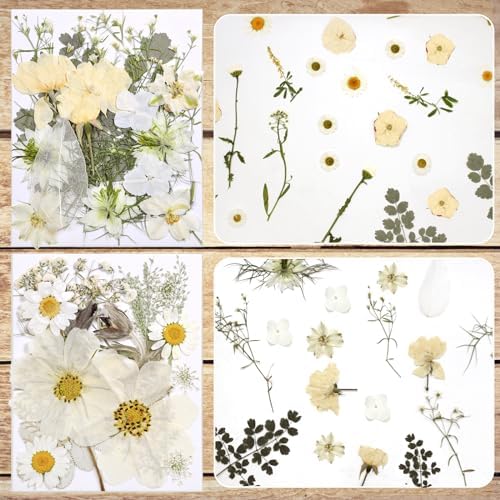 Dried Flowers for Resin