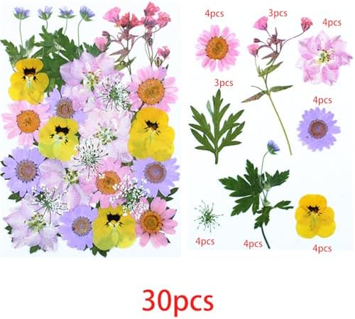 Cayway 4 Pack Natural Dried Pressed Flowers for Resin, Scrapbook, DIY Art Crafts, Epoxy Jewelry, Card Making Supplies - Colorful Real Flowers, Style F