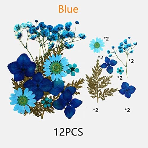Cayway Real Pressed Flowers Dry, 4 Pack Pressed Flowers Colorful Real Pressed Flowers for Resin Scrapbooking DIY Art Crafts, Epoxy Resin Jewelry, Soap Making