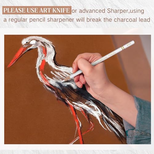Resurhang 100 Pcs Charcoal Pencils Drawing Set, Charcoal Pencils bulk for Drawing Sketching Shading Blending Portrait Beginners and Artists(White,White Style)
