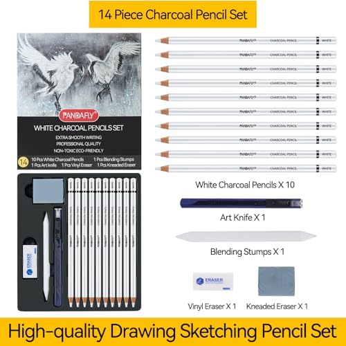 PANDAFLY Professional White Charcoal Pencils Set, 14 Piece