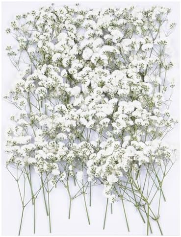 50Pcs White Babys Breath Dried Flowers for Wedding Invitation Accessories