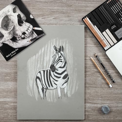 Cretacolor Skull Edition Black & White Drawing Tin Set, Set of 25
