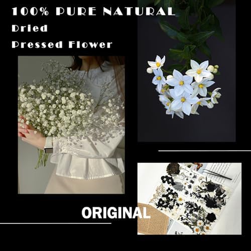 MIKIYA 84Pcs Black Dried Pressed Flowers for Resin Molds, Bulk Real Natural Dry Floral for DIY Art Crafts, Epoxy Jewelry, Candle, Soap Making, Nails Decor, Phone Case