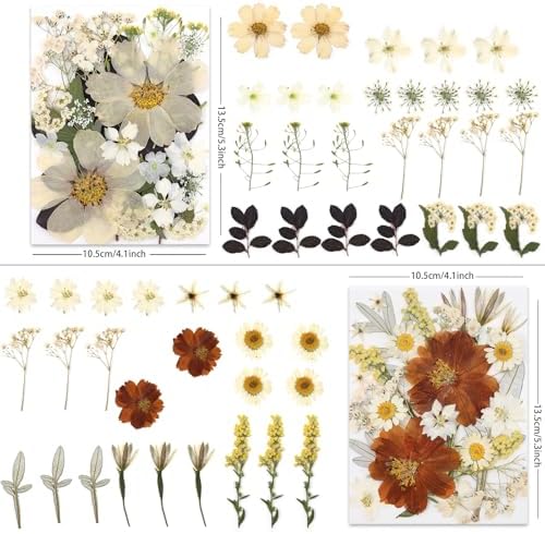 LUXEEASE 100P Vintage Cream Brown Dried Pressed Flowers | Earthy warm palette, maple, silver greenery, curly twigs, for resin jewelry scrapbook wedding frame candle, tweezers included
