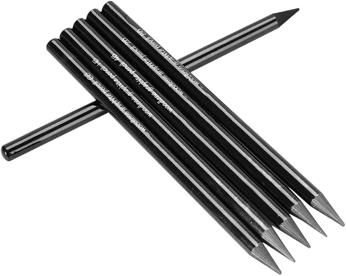 PENINSULA LOVE 6Pcs Woodless Graphite Pencils HB 2B 4B 6B 8B EE Artist Professional Drawing Pencil Set for Sketching Shading Writing for Adult Artist Hobbyist Beginner