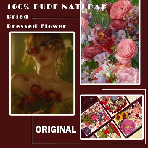 MIKIYA 85Pcs Dried Pressed Flowers for Resin Molds, Real Natural Bulk Dry Floral Leave for DIY Art Crafts, Epoxy Jewelry, Candle, Soap Making, Nails Decors Gifts
