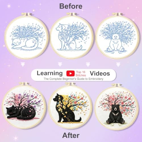 Huacan Embroidery Kit for Adults Beginners with 3 Hoops & Gift Box