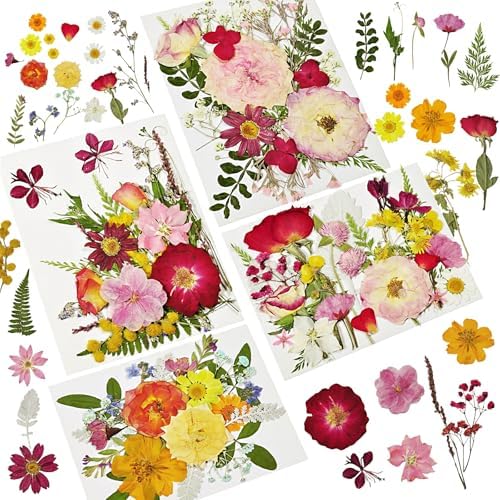 Dried Pressed Flowers for Resin