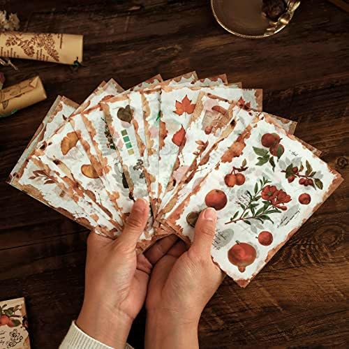 Dizdkizd Nature Botanical Stickers for Journaling, Ephemera Sticker Book, Translucent Washi Sticker for Scrapbooking - 20 Sheets (200 Pieces)