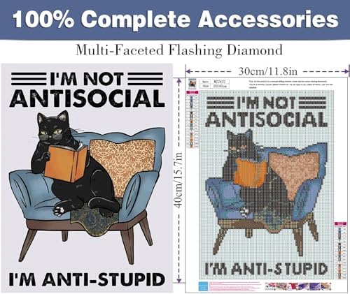 ijbnhd Black Cat Diamond Art Kits for Adults Diamond Painting Kits