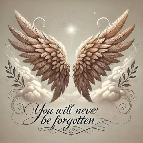 MBNTJHT Angel Wings Paint by Numbers Kit for Adults,Unframed Oil Painting by Number Kits for Adult Beginners,DIY Acrylic Painting Art Kits for Home Decor Gifts 16X16 Inch.