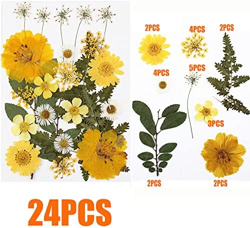 Cayway 82 PCS Natural Dried Pressed Flowers Leaves Glitter and Accessories Kit with Tweezers, Scissors for DIY Candle Resin Jewelry Nail Pendant Crafts Art Floral Decoration