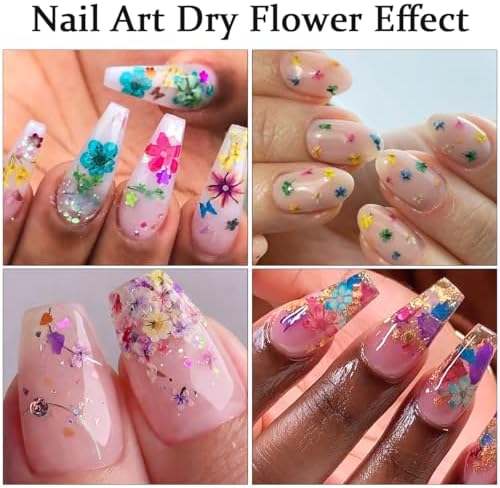 2 Boxes 3D Real Dried Flowers for Nail Art Colorful Mini Natural Gypsophila