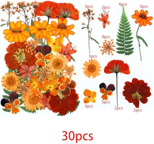 Cayway 4 Pack Natural Dried Pressed Flowers for Resin, Scrapbook, DIY Art Crafts, Epoxy Jewelry, Card Making Supplies - Colorful Real Flowers, Style F