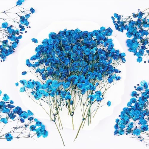 50Pcs Blue Babys Breath Dried Pressed Flowers for Crafts,Xinxinran Dry Flowers Kit for Wedding Invitation Accessories,Bookmark,Jewelry Molds,Candle Making Supplies,Soap,Frame,Cakes