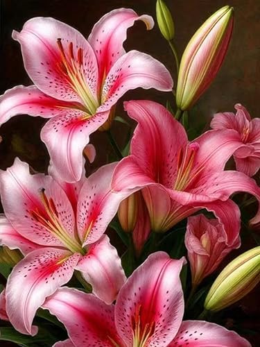 Axquilon Flowers Diamond Art Kits for Adults 12x16 inch