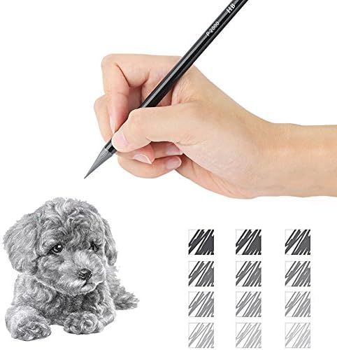 EVNEED Woodless Pencil Set,12 pcs Non-wood Graphite and Charcoal Sketching for Drawing,Writing,Shading,Color Black-Set of 12