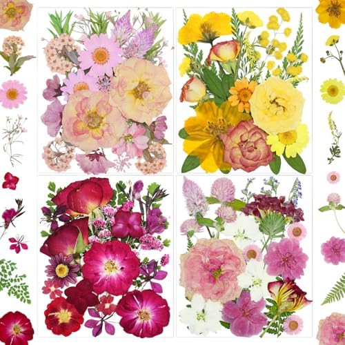 MIKIYA 86Pcs Dried Pressed Flowers for Resin, Real Natural Bulk Assorted Dry Floral Leaves for DIY Art Crafts, Epoxy Molds, Jewelry, Soap, Candle Making, Nails Decors