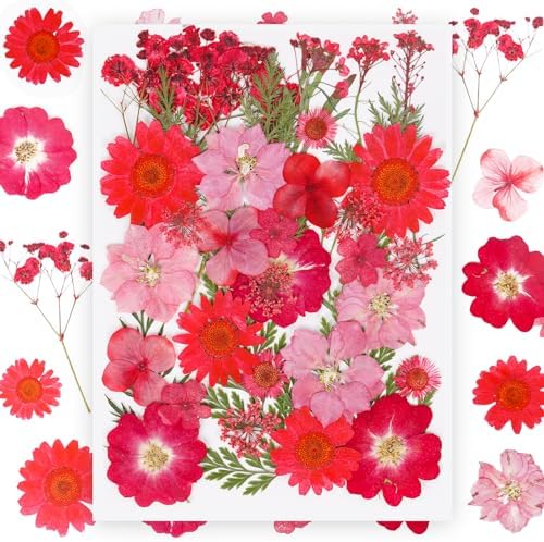 37Pcs Red Dried Pressed Flowers Natural Dried Flowers for Resin,Real Pressed Flowers for Crafts,Dry Flowers for Resin Molds DIY Scrapbookin Candle Jewellery Making