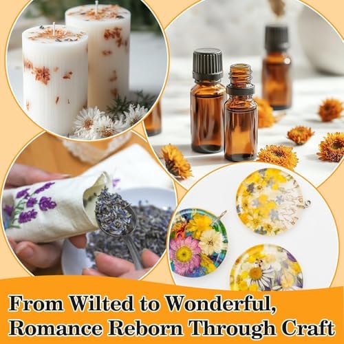 Sukh 14 Bags Dried Herbs Kit - Dried Flower Botanicals Bulk for DIY Crafts
