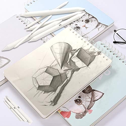 FEBSNOW 12Pcs Blending Stumps and Tortillions Sticks for Art Drawing