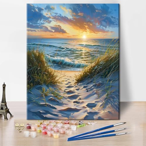 TUMOVO DIY Paint by Numbers for Adults Beach Scene Sunrise, 16x20 Inch