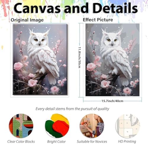 EIBEILI White Owl Paint by Numbers Kit for Adults Beginner,Plum Blossom Adult Paint by Number Kits on Canvas,Easy Canvas Paint by Numbers for Adults for Home Wall Decoration 12 X 16 inch