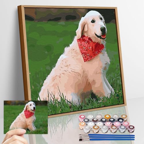 Custom Paint by Numbers Kit for Adults - Personalized DIY Canvas Art | Acrylic Painting Set with Brushes & Paints | Framed or Unframed Wall Decor | Complete Kit for Home | Unique Handmade Gift