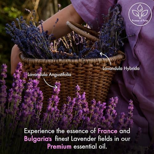 Majestic Pure Lavender Essential Oil for Diffuser - 4 Fl Oz | 100% Natural Essentials Oils for Aromatherapy, Soap and Candle Making Fragrance, Massage and Skin, Lavender Oil