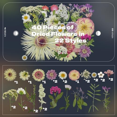 White Dried Pressed Flowers, 40Pcs Real Nature Flowers Set with Tweezers