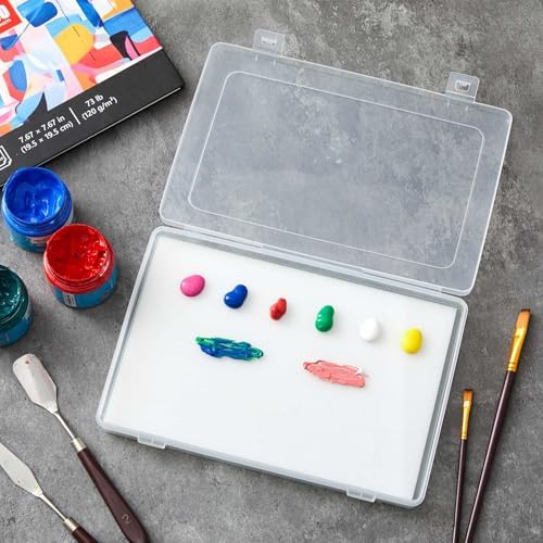 Nuanchu 1 Set Glass Oil Paint Palette, Airtight, 10.24 x 6.8 Inches, Clear | Handy Tempered Glass for Oil Painting, Moisture-proof lid Keep Paint Fresh, Portable Travel Outdoor, Leak-proof Airtight Seal