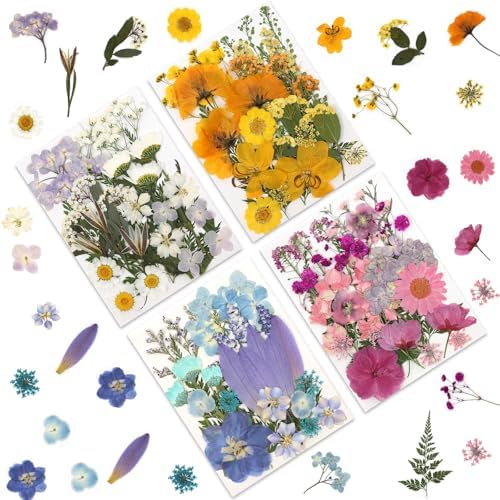 LUXEEASE 4 Color 110P Long Stem Dried Pressed Flowers | Long stems for line work, cut to any length, mixed tones, for resin scrapbook jewelry candle decor, tweezers included
