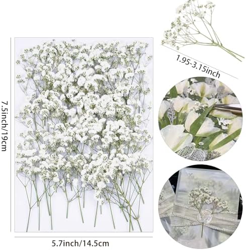 50Pcs White Babys Breath Dried Flowers for Wedding Invitation Accessories